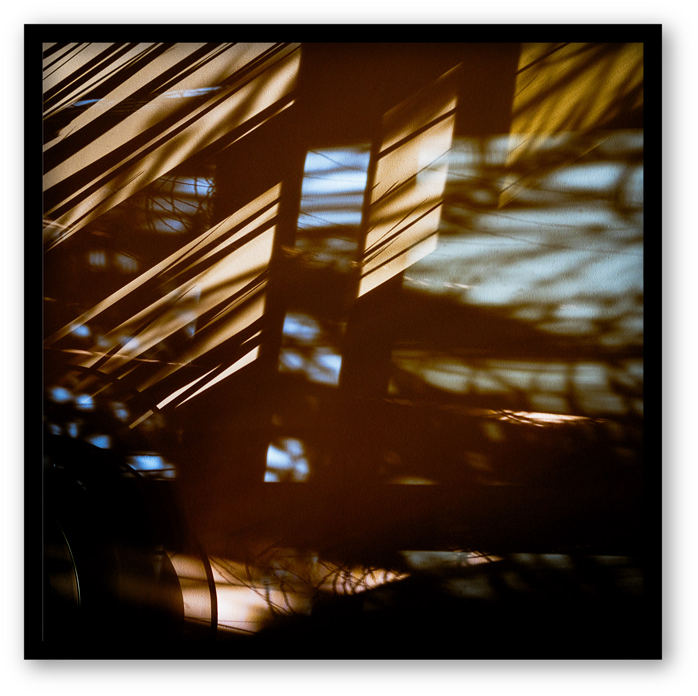 Entropique  - Martin Ogolter